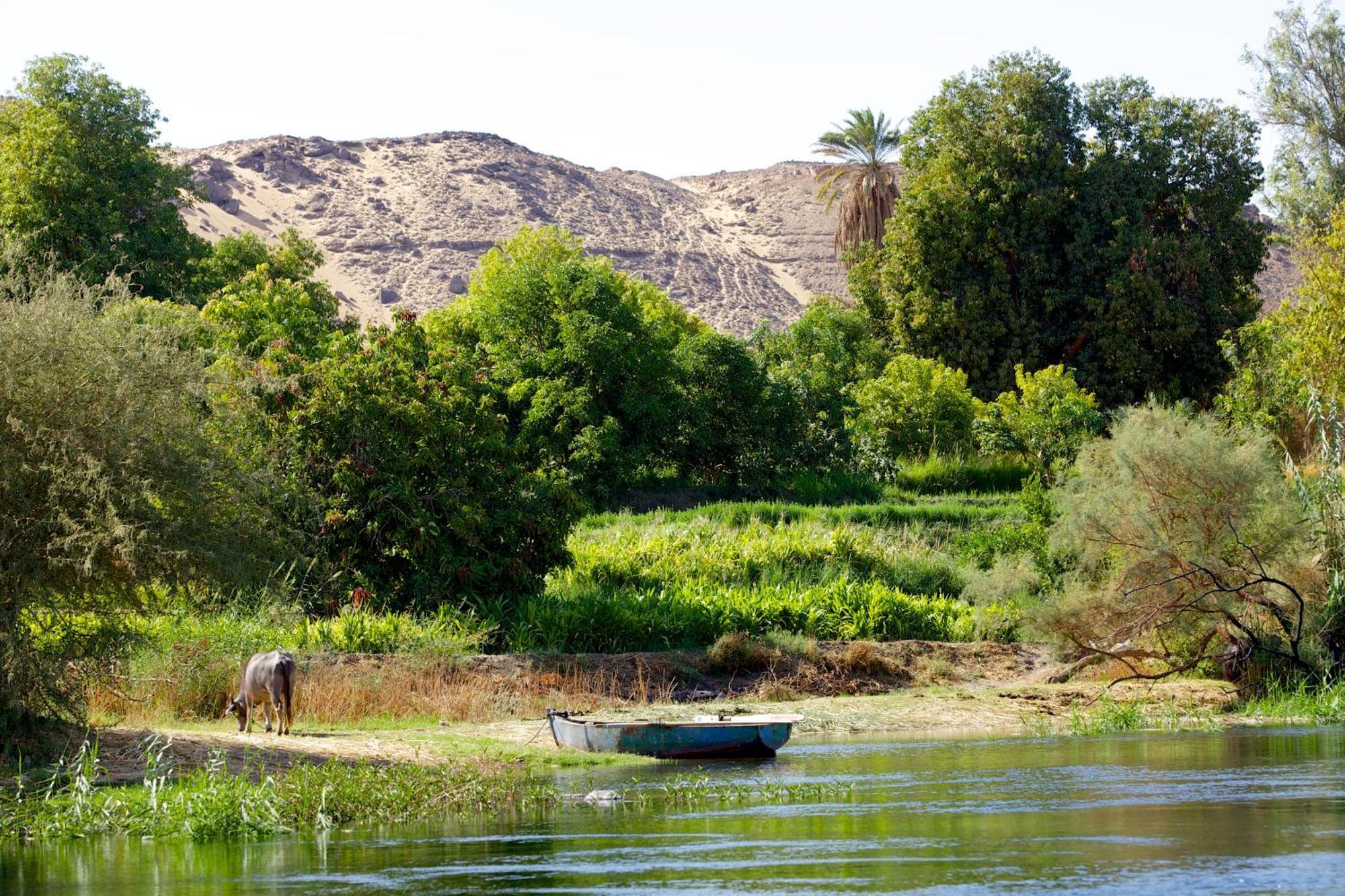 Hadouta Masreya Nubian Guest House Aswan Ngoại thất bức ảnh